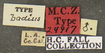 Media type: image;   Entomology 24917 Aspect: labels